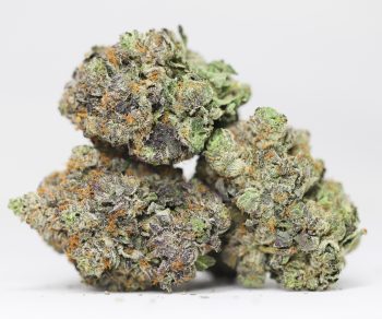Casino Kush AAAA