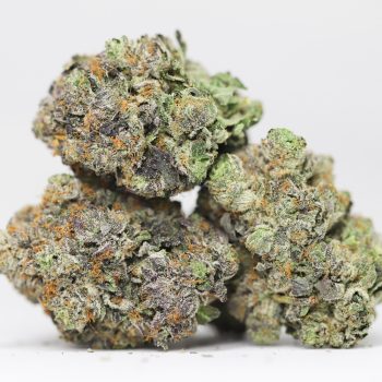 Casino Kush AAAA