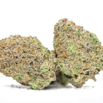Gelato AA