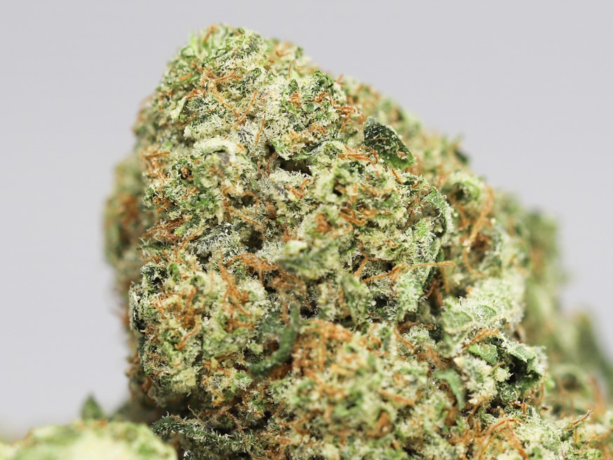 Kush Mint Oz Special Canna Sweets Mail Order Marijuana