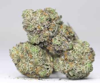 Northern Lights AA