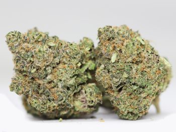Peyote Cookies AA