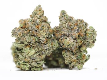 Blue Cookies AAAA