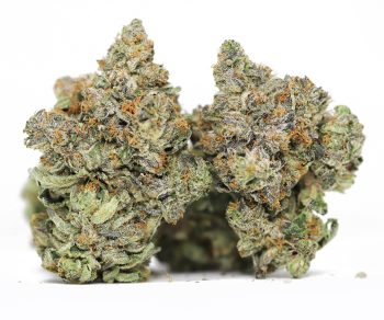 Blue Cookies AAAA