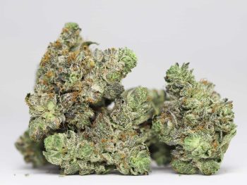 Black Bubba AAA