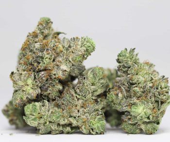 Black Bubba AAA
