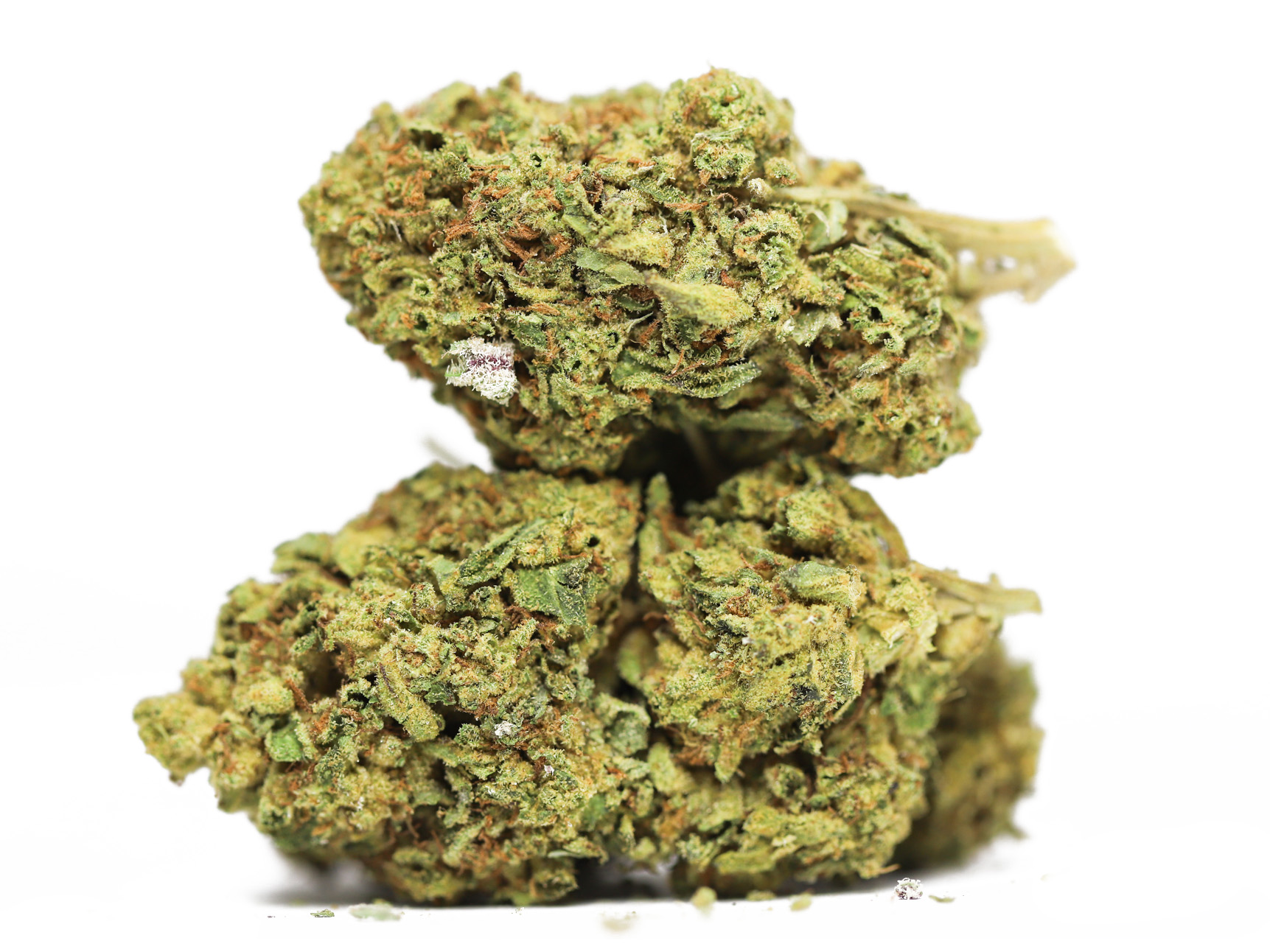 Junior Mints AA Canna Sweets Mail Order Marijuana