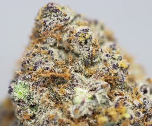 KRFT MRKT - Candy X Cream Soda AAAA+