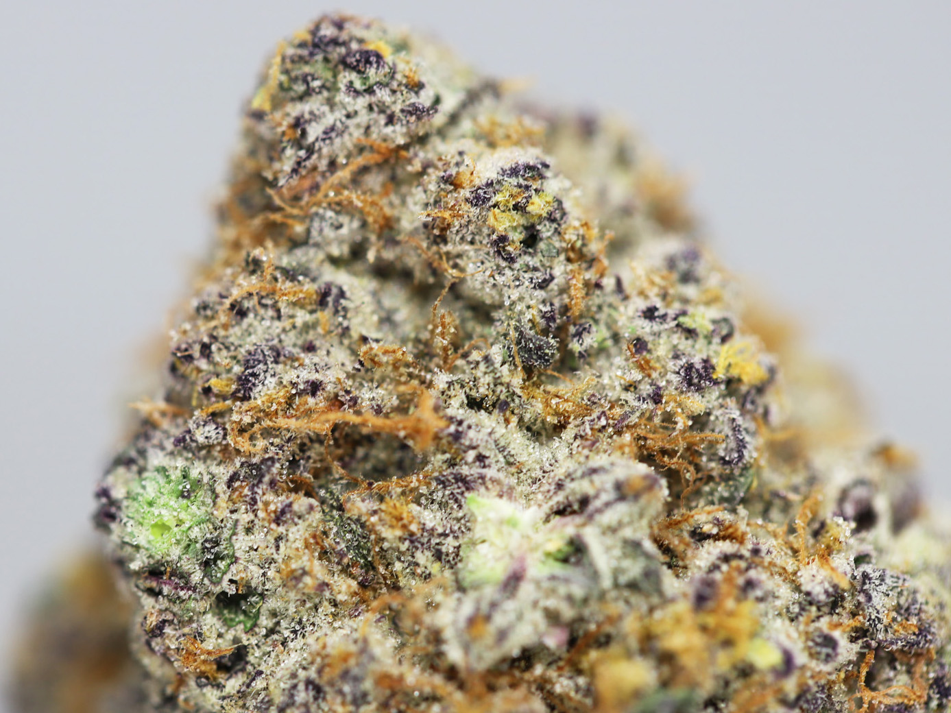 KRFT MRKT - Candy X Cream Soda AAAA+ - Image 2
