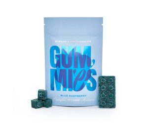 Euphoria Psychedelics – Blue Raspberry Gummy 1000mg