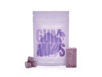 Euphoria Psychedelics – Grape Gummy 1000mg