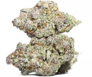 KRFT MRKT - Polynesian Thin Mints AAAA+