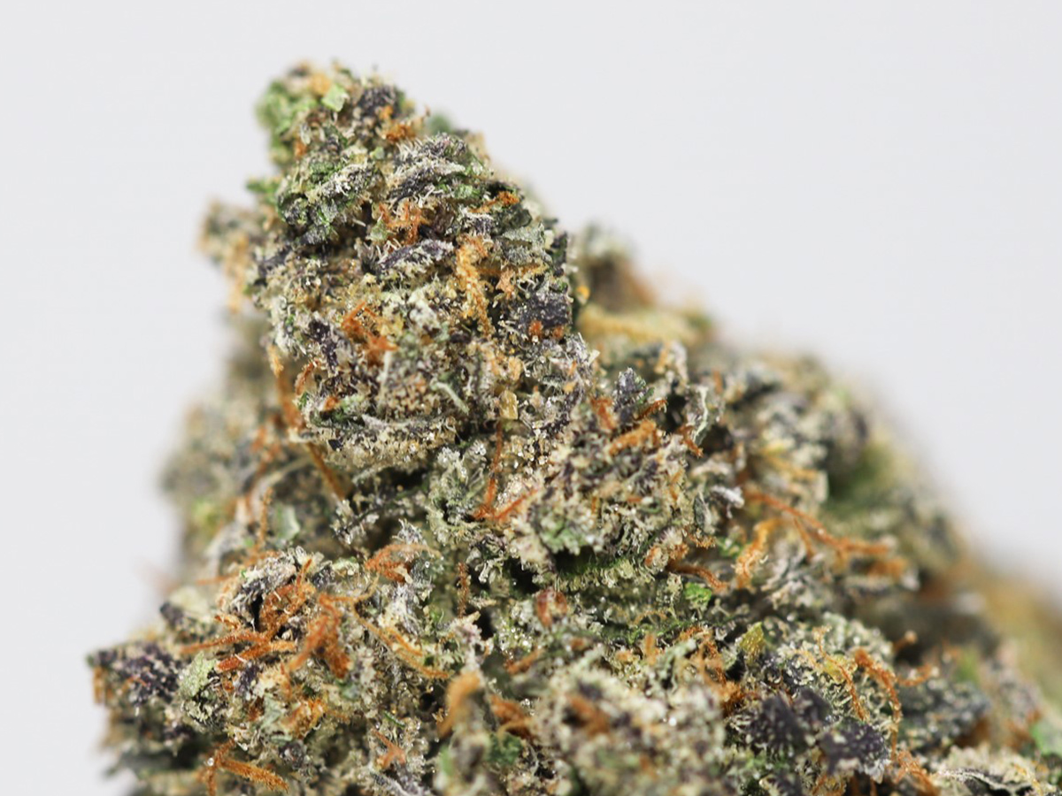 KRFT MRKT Orange Truffle Souffle AAAA+ Canna Sweets Mail Order