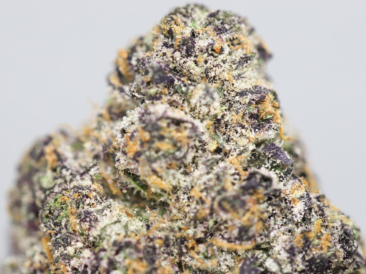 Gelato Runtz AAAA - Image 2