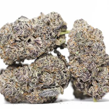 Gorilla Glue #5 AAAA+