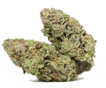 Hawaiian Dream AA