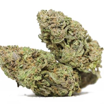 Hawaiian Dream AA