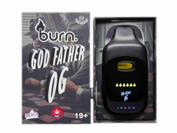 Burn Disposable Vapes - Godfather OG 3ML