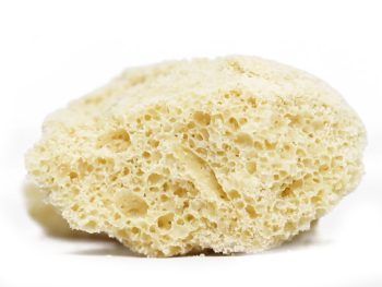 AAA+ House Honey Comb - Garlic Cookies