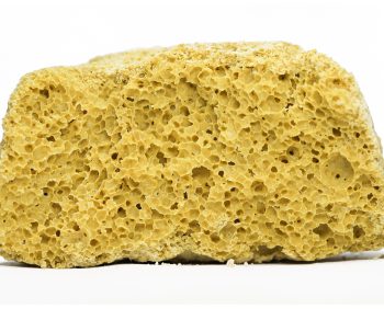 AAA+ House Honey Comb - Sherb Quake