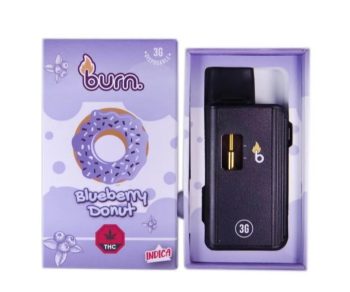 Burn Disposable Vapes - Blueberry Donut 3ML