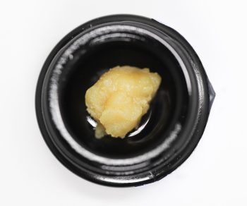 Glacier Melts - Live Rosin - Future Wife 1G