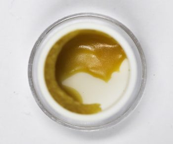 Squish Cold Pressed Rosin - Runtz