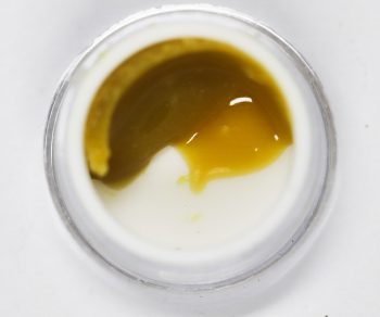 Squish Cold Pressed Rosin - Mimosa Punch