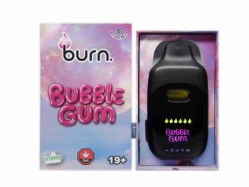 Burn Disposable Vapes - Bubble Gum 3ML