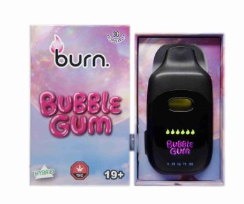 Burn Disposable Vapes - Bubble Gum 3ML