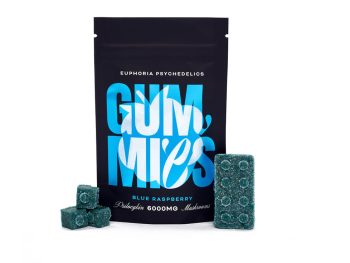 Euphoria Psychedelics - Blue Raspberry Gummy 6000mg