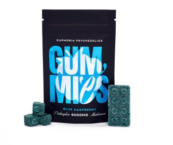 Euphoria Psychedelics - Blue Raspberry Gummy 6000mg