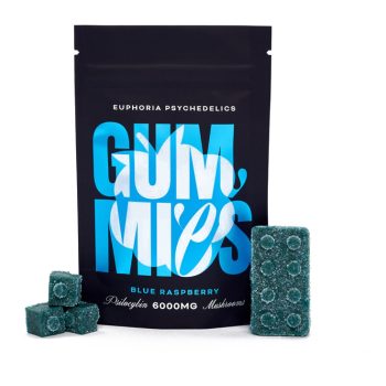Euphoria Psychedelics - Blue Raspberry Gummy 6000mg