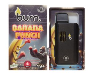 Burn Disposable Vapes - Banana Punch 3ML