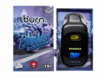 Burn Disposable Vapes - Blueberry 3ML