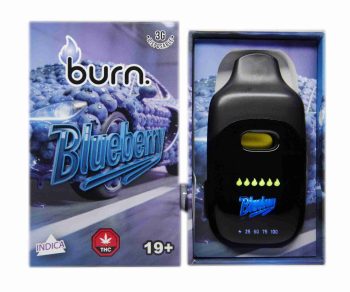 Burn Disposable Vapes - Blueberry 3ML