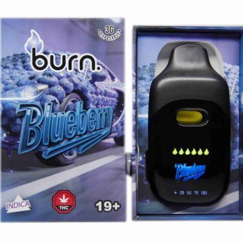 Burn Disposable Vapes - Blueberry 3ML
