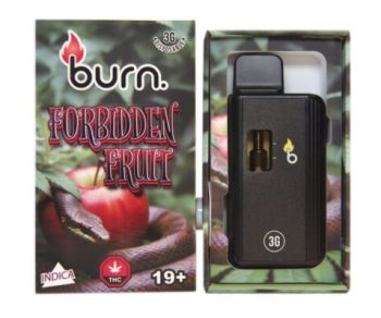 Burn Disposable Vapes - Forbidden Fruit 3ML