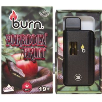 Burn Disposable Vapes - Forbidden Fruit 3ML