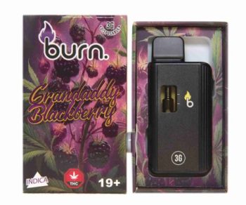 Burn Disposable Vapes - Granddaddy Blackberry 3ML