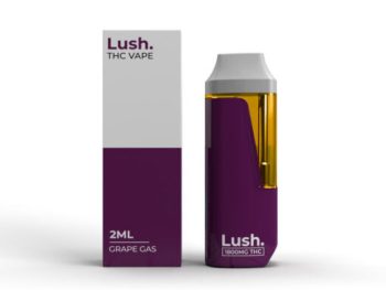 Lush Disposable Vape - Grape Gas - 2G