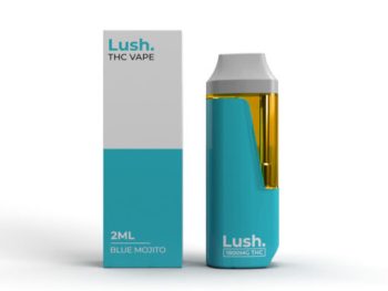 Lush Disposable Vape - Blue Mojito - 2G