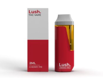 Lush Disposable Vape - Cherry Pie - 2G