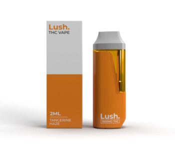 Lush Disposable Vape - Tangerine Haze - 2G