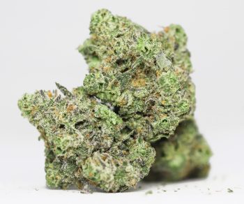 Candy Jack AAAA