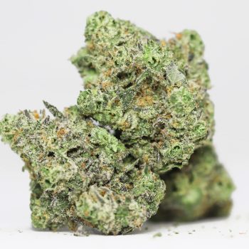 Candy Jack AAAA