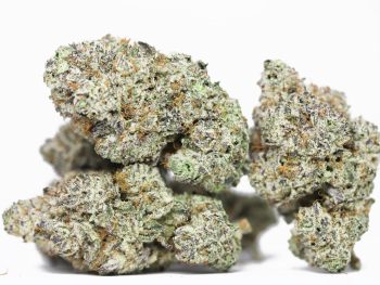 KRFT MRKT - Bubblegum Sherb AAAA+