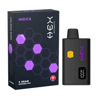 Hex Extracts - Backwood Bliss Live Resin Disposable Vape (2G)