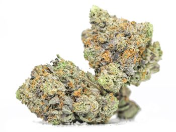 El Chapo OG AA