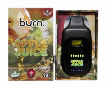 Burn Disposable Vapes - Apple Juice 3ML